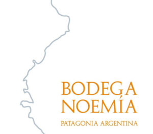 Cinq wines- vinos en guatemala- bodega noemia patagonia argentina