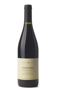 Cinq wines- vinos en Guatemala- Chacra argentino